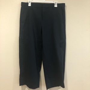 Banana Republic Wide Leg Cropped Slacks